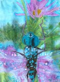 by Darla England