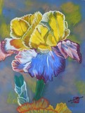 by Arlene Wright-Correll