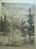 by Avery Stuebs