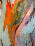 by Gary Glass