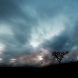 by richard sammour