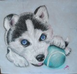 by Vivian Feltz