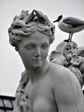 by Marie josé LAURIER