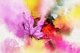 by graham rhodes