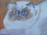 by Irina Stroup
