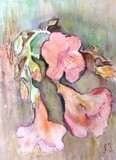 by Irina Stroup