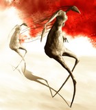 by Mariusz Radziszewski