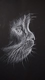 by RAj sudheer