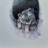 by Mita Vora