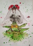 by Marija Knezevic
