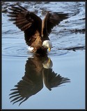by Harry Eggens