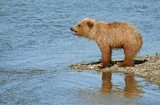 by Harry Eggens