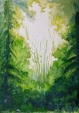 by Rajmohan Ramamoorthi