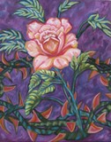 by Susan Marie Pieri