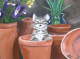 by patricia burley