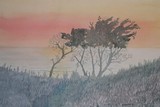 by Dora Gourley