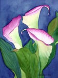 by Nancy Woolweber