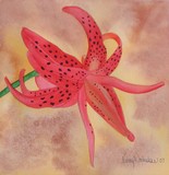 by Nancy Woolweber