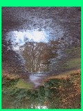 by henry oswaldsson