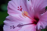 by Marilyn Soper