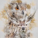 by Melanie logan