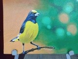 by Ramesh Babu
