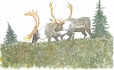 by Kath Olding