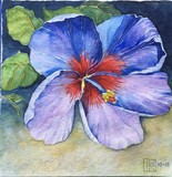 by Ingrid Kolster