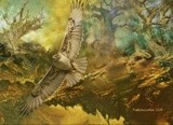 by kiddolucas lee