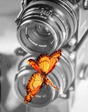 by Doug Kearse