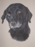 by Joanne Simpson-Connor