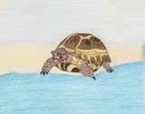 by Aunita Tyler