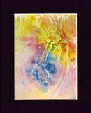 by amira el-fohail