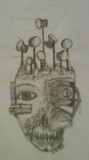 by Cody Sailer