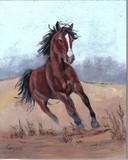 by peggy conyers