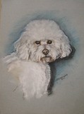by Sheryl Boivin