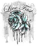 by Cherry Sun