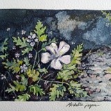 by michelle legere