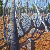 by Scott Niemi