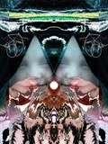 by TOMMY  BEAVER
