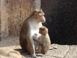by Adarsh Kumar Pavani