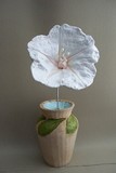 by Nanci Shufritz