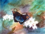 by Brenda Thour
