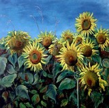 by Monique Wiersma-Marinussen