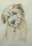 by jill madgwick