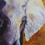 by Liz Mclelland