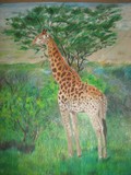 by Debi Allison (D.Day)