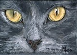 by Mary-Lee Sanders