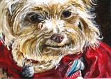by Mary-Lee Sanders