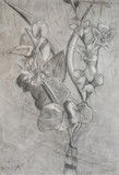 by Elizabeth  Langhorne